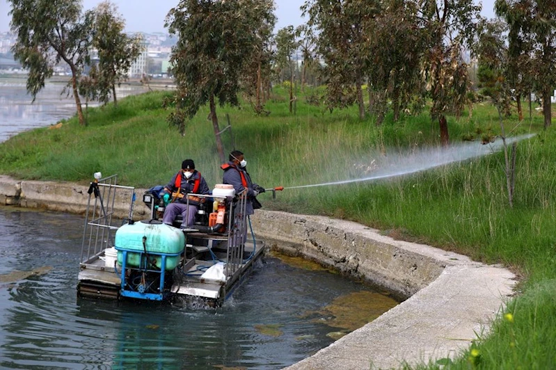 SİVRİSİNEKLE MÜCADELEDE ÖNLEMLER ARTIRILDI